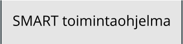 SMART toimintaohjelma