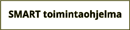 SMART toimintaohjelma