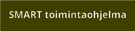 SMART toimintaohjelma