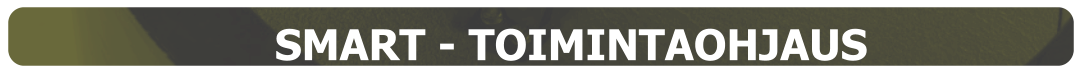 SMART - TOIMINTAOHJAUS