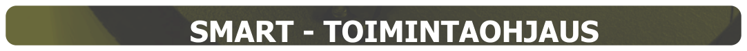 SMART - TOIMINTAOHJAUS